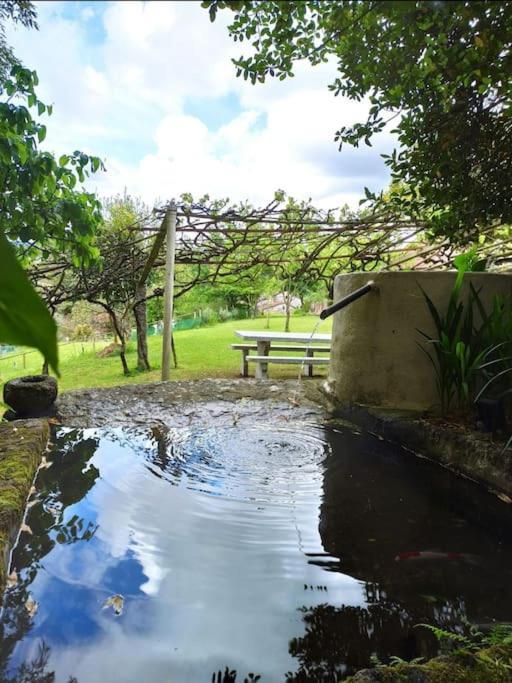 A Vina De Lina. Turismo Rural Con Piscina Y Finca. Villa Pontevedra Exteriör bild